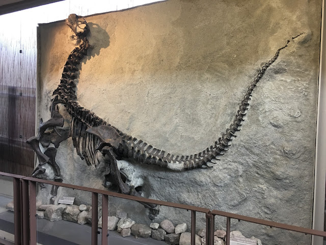 DINOSAUR